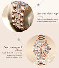 Diamond Éclat - Luxe Roman Dial Quartz Watch - Shark & Sapphire