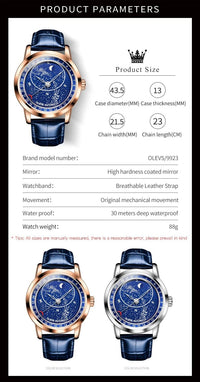 Shark & Sapphire Celestial Orbit Automatic - Shark & Sapphire